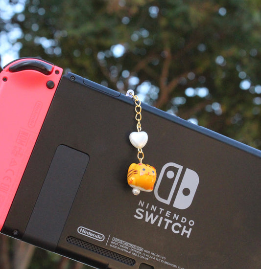 Cat Switch Charm