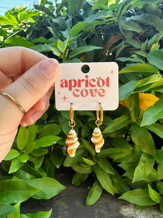 Seashell Earrings
